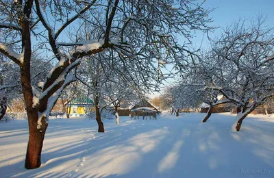 В Беларуси обещают морозы до -20°C — Газета Слонімская