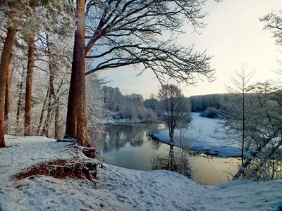 Куда съездить в Беларуси зимой — фото, где отдохнуть, что посмотреть,  красивые места, достопримечательности, отзывы