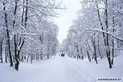 Беларусь / Белоруссия. Минск - «Стоит ли ехать в Минск зимой и чем себя  занять, личный опыт и мнение» | отзывы