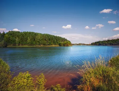 Озеро белое Беларусь (41 фото) - 41 фото