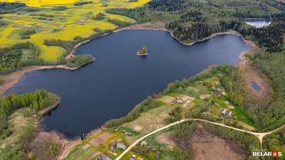 Озеро Белое (Брестский район) – рыбалка, отдых, домики, цены