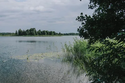 В водах озёр Белое и Рогознянское нашли кишечную палочку Е.coli, купание  запрещено