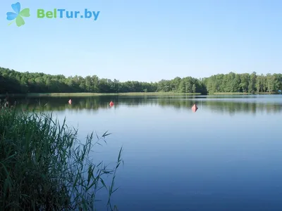 Беларусь Белое озеро | Nature photography, Natural landmarks, Nature