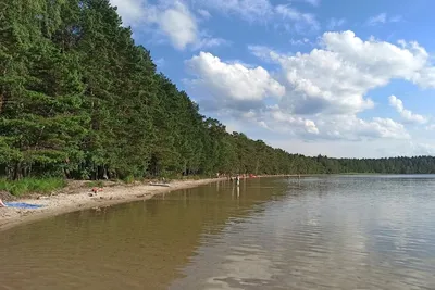 Озёра Мядельщины вошли в топ красивейших озер Беларуси, которые стоит  увидеть | Навіны Мядзельшчыны