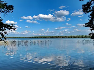 Озеро Беларусь Природа Белое - Бесплатное фото на Pixabay - Pixabay