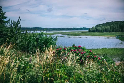 Отзыв о Озеро Белое (Беларусь, Витебская область) | Спасибо погоде, что не  помешала нашему отдыху
