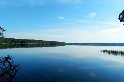 Белое озеро Беларусь (70 фото) - 70 фото