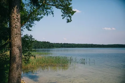 Топ-10 самых необычных озер Россонского района