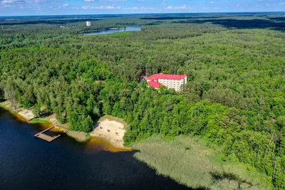 Озеро Белое (Санаторий Озёрный), Беларусь / Lake nearby Sanatoriy Ozerniy,  Belarus - YouTube
