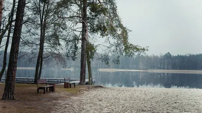 Одно из приятных мест для купания и пикника возле Нарочи. Озеро Белое  Беларуси. | Обзоры товаров и секреты рыбалки