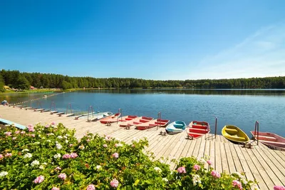 Белое озеро, Лунинецкий район, Беларусь - «кристально чистая вод и  белоснежный песок, но есть парочка но...» | отзывы