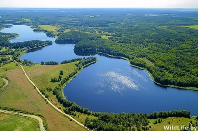Белое озеро, Лунинецкий район, Беларусь - «кристально чистая вод и  белоснежный песок, но есть парочка но...» | отзывы