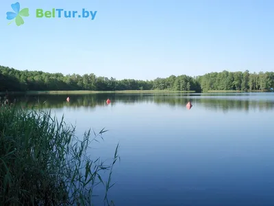 Белое (озеро, Брестский район) — Википедия