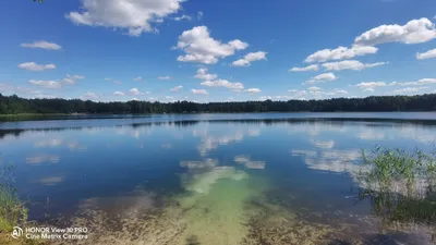 Недорогой отдых на Белом озере в Лунинецком районе — последние Новости на  Realt