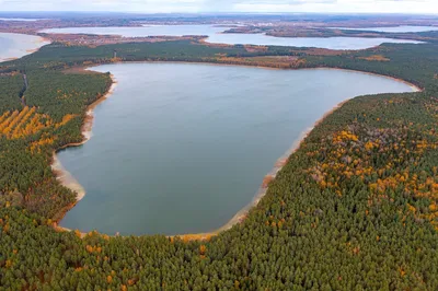 Рогознянское озеро - описание достопримечательности Беларуси (Белоруссии)