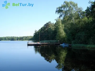 Отдых на Белом озере в Брестской области - пляжи, цены, рыбалка, как  добраться