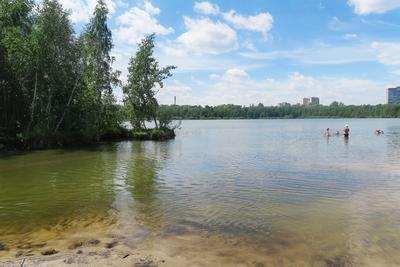 Озеро белое Бордуковское - 79 фото