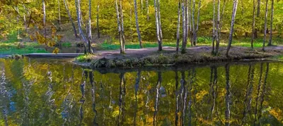 В Московском районе Косино-Ухтомский погибают тысячелетние озера