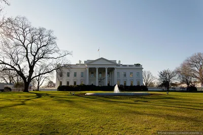 Белый Дом В Вашингтоне, Округ Колумбия, США Фотография, картинки,  изображения и сток-фотография без роялти. Image 13653335