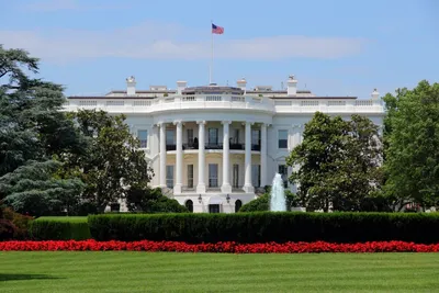 Белый Дом В Вашингтоне, Округ Колумбия Фотография, картинки, изображения и  сток-фотография без роялти. Image 13548613