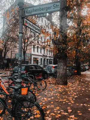 Золотая осень в Берлине, Германия (6 фото) • OTDIH.PRO