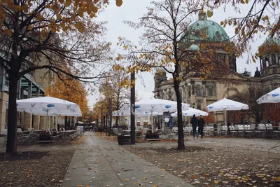 Осень в Берлине 2020 - Какие карантинные ограничения действуют в немецкой  столице - фото — УНИАН