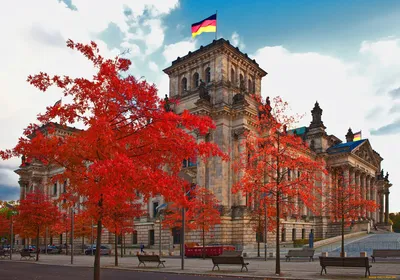 Берлин, осень, яркие цвета. | Пикабу