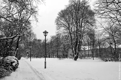 Молодой турист мужского пола гуляет в парке перед берлинским собором со  снегом по всей земле | Премиум Фото