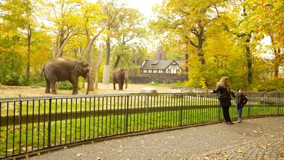 File:Lentrée du Zoo de Berlin (6081063158).jpg - Wikipedia