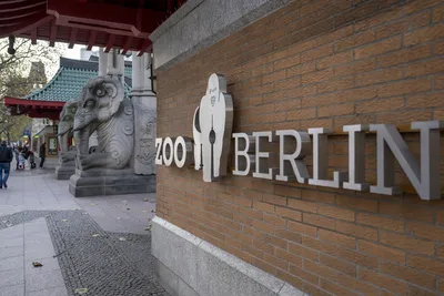 Берлинский зоопарк, Берлин: лучшие советы перед посещением - Tripadvisor