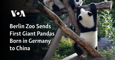 Zoo Berlin in Tiergarten - Tours and Activities | Expedia