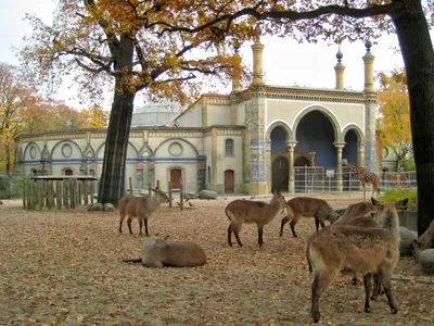 Berlin Zoo closes door to visitors over bird flu case