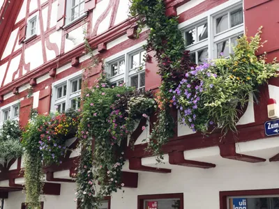 Riedlingen upon the Danube district of Biberach Baden-Wuerttemberg Germany  market square Stock Photo - Alamy