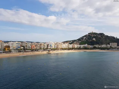 Туристы Наслаждаются Пляже Бланес Коста Брава Красивый Летний День Испания  стоковое фото ©bloodua 381867482