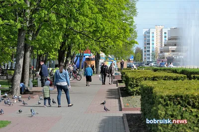Бобруйск–Арена в Бобруйске. Схема проезда, фото, отзывы