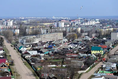 Въезд в Бобруйск украсила декоративная арка. Узнали, как создавали  «гостевые ворота» | bobruisk.ru