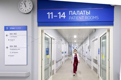 В Москве начнут внедрять новый стандарт оказания экстренной помощи, учебный  полигон в Сокольниках откроется уже до конца 2022 года MNPCBT.RU