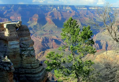 Большой Каньон, штат Аризона, США - один из глубочайших каньонов в мире,  смотровая площадка-подкова Skywalk: Большое путешествие на автомобиле  (часть 6) - WorldWithaTwist.com