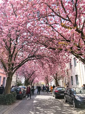 Bonn city centre center germany hi-res stock photography and images - Alamy