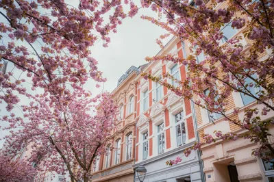 Bonn Germany - Marktplatz | Bonn Germany - Marktplatz | Flickr