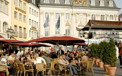 How to Visit the Cherry Blossom Avenue in Bonn, Germany - That One Point of  View