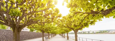 Image of Bonn, Germany - Circa August 2019: People In The City  Centre-EH915679-Picxy