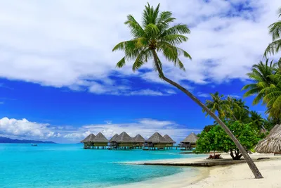 Остров Бора-Бора, Французская Полинезия | Пикабу
