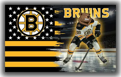 Boston Bruins Hockey Team Mascot Memorable Flag 90x150cm 3x5ft Fan Best  Banner | eBay