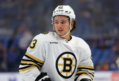 Milan Lucic on indefinite leave from Boston Bruins after 'situation,' team  says - Boston News, Weather, Sports | WHDH 7News