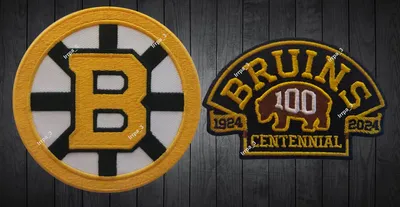 Download The Boston Bruins are passionate about the game | Wallpapers.com