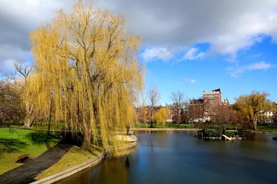 Бостон Коммон Парк | Boston Common Park | Russian Tour America