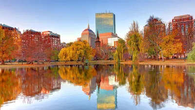 Ultimate Guide to Things to Do in Boston in the Fall