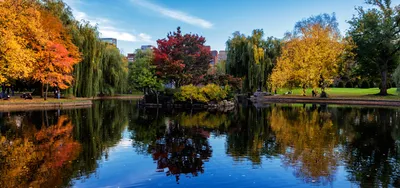 Getting to Know Your Neighborhood: East Boston | BU Today | Boston  University