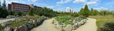 Ботанический сад Челябинского государственного университета 🌱 — Наш  Челябинск